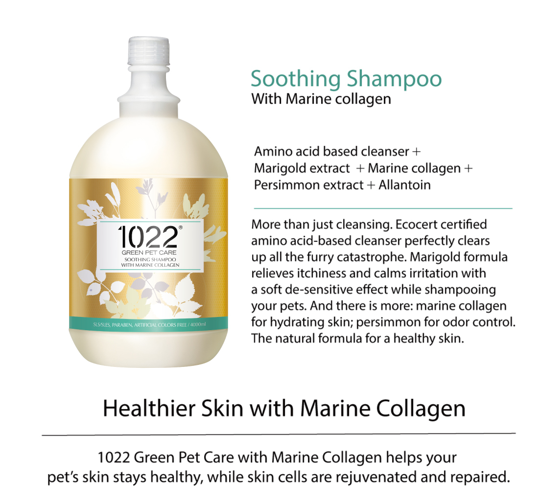 1022。Soothing Shampoo Dog Being