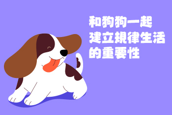 【狗狗規律生活】陳敏獸醫