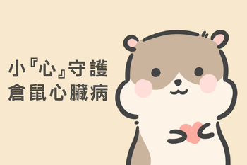 【小『心』守護─倉鼠心臟病】紀維寧獸醫