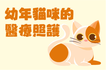 【幼年貓咪的醫療照護】陳敏獸醫