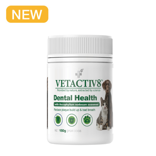 VETACTIV8  - Dental Health