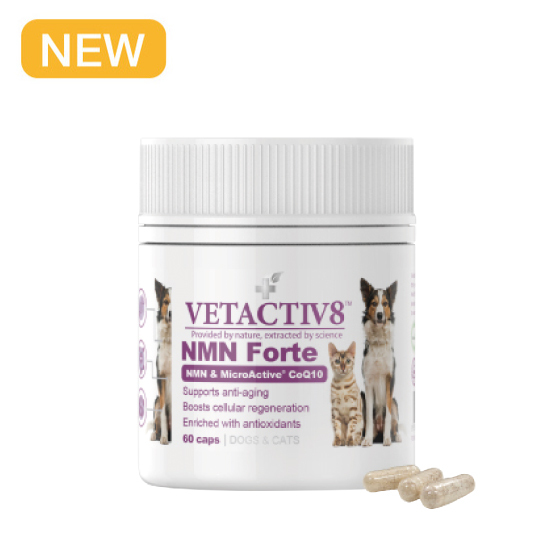 VETACTIV8  - NMN Forte