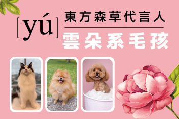 YU東方森草代言人