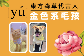 YU東方森草代言人